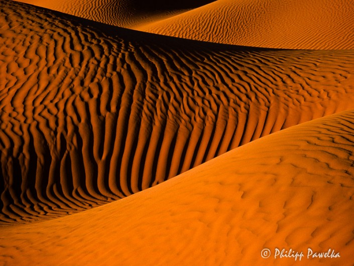 Saharan Desert Dreams